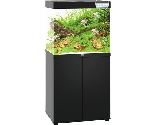 Aquarium complet avec meuble bas, planté et avec poissons