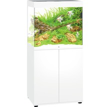 Aquarium complet avec meuble, comprenant poissons, plantes et décoration