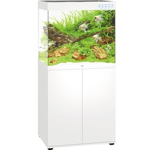 Aquarium complet avec meuble bas en blanc, décoration et poissons inclus.