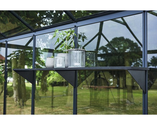 Gros plan d''une serre avec des plantes sur une étagère