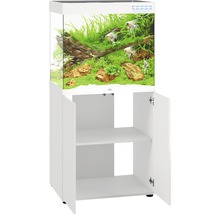 Ensemble aquarium avec meuble bas, équipé de plantes, de poissons et de décorations. Le meuble bas possède deux compartiments ouverts.
