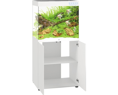 Aquarium Juwel Lido 200 avec éclairage LED, pompe, filtre, chauffage sans  meuble bas gris - HORNBACH