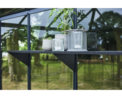 Étagère avec plantes et photophores dans une serre