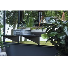 Vue détaillée d''une serre avec des étagères sur lesquelles sont posées des plantes en pot et un panier en métal.