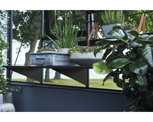 Detailansicht eines Gewächshauses mit Regalen, auf denen Pflanzen in Töpfen und einem Metallkorb stehen.