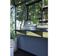 Intérieur d''une serre avec des étagères, des jardinières et des plantes
