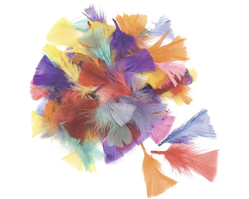 Plumes décoratives coupées multicolores 8-14 cm 14 g