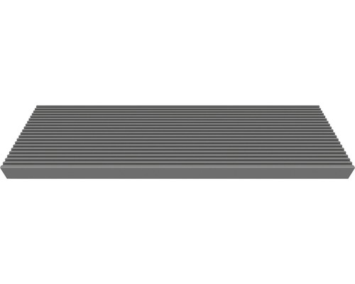 Einzelstufe für Außentreppe Pertura Tallis Trimax anthrazit für doppelte Unterkonstruktion 100 x 22 x 4 cm Einzelstufe für Außentreppe Pertura Tallis Trimax anthrazit für doppelte Unterkonstruktion 100 x 22 x 4 cm