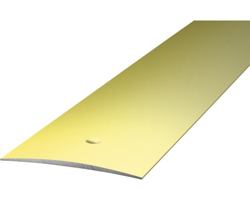 Prinz Übergangsprofil Alu sahara gelocht 40 x 1000 mm Bodenschiene aus Metall mit Befestigungslöchern