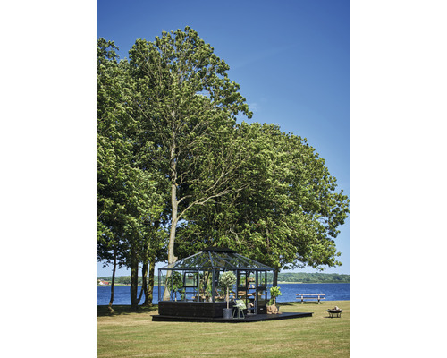 Une serre est située dans le jardin au bord du lac, sous les arbres.