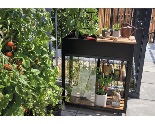 Jardinière surélevée sur pilotis JULIANA Vertical 71x33x142 cm noir Jardinière surélevée avec plantes, outils de jardinage et plant de tomates