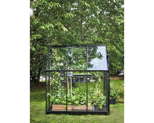 Serre avec des plantes dans le jardin