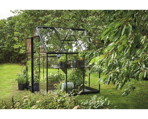 Serre avec des plantes dans le jardin