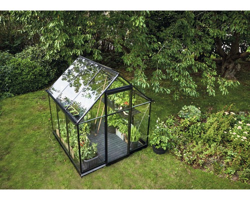 Serre avec des plantes dans le jardin