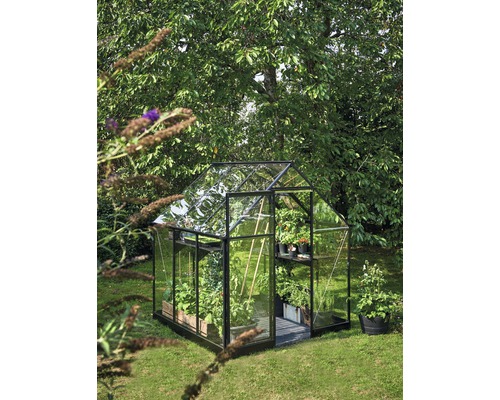 Serre avec des plantes dans un jardin.