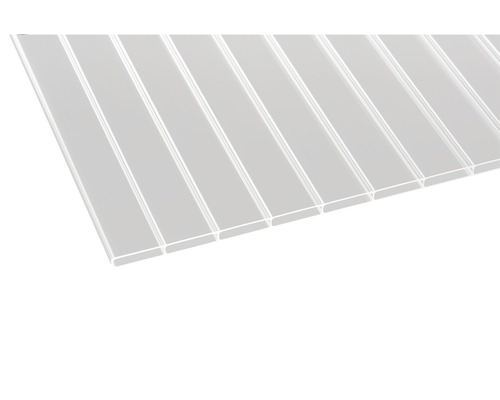 Panneau alvéolé/Plaque alvéolaire Gutta acrylique anti-gouttes 64-16 transparent 2000 x 980 x 16 mm