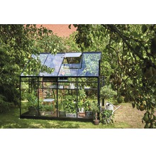 Gewächshaus mit Pflanzen im Garten