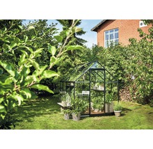 Gewächshaus mit Pflanzen im Garten