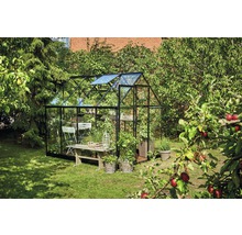 Gewächshaus Halls Qube 68 5,1 m² Sicherheitsglas 3 mm 198 x 259 cm schwarz