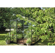 Gewächshaus mit Pflanzen und Gartenmöbeln im Garten