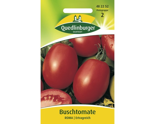 Tomate buissonnante « Roma » Quedlinburger semence de légumes