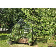 Gewächshaus mit Pflanzen und Gartenmöbeln im Garten