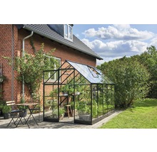 Gewächshaus aus Glas und Metall im Garten mit Pflanzen