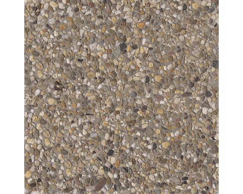Beton Waschbetonplatte Rheinkies 8/16 mm 40 cm x 40 cm x 4 cm Nahaufnahme einer Betonoberfläche mit Kieselsteinen