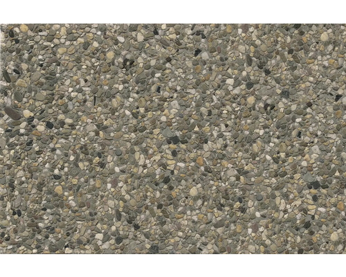 Dalle en béton lavé béton gravier du Rhin 8/16 mm 60 cm x 40 cm x 4 cm Gros plan d'une surface en béton avec des galets intégrés pour l'extérieur.