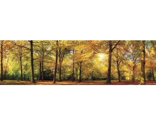 Papier peint panoramique intissé 17003 Panorama Autum Forrest 2 pces 350 x 100 cm
