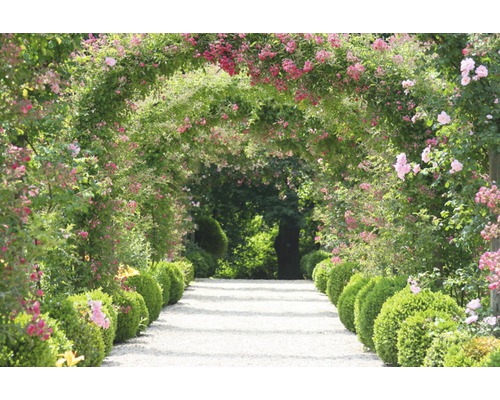 Papier peint panoramique intissé 18012 Rose Arch Garden 7 pces 350 x 260 cm