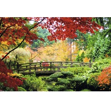 Fototapete Vlies 18017 Bridge in Japan 7-tlg. 350 x 260 cm