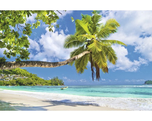 Papier peint panoramique intissé 18019 Seychelles Palm Beach 7 pces 350 x 260 cm Plage tropicale avec des palmiers et un ciel bleu