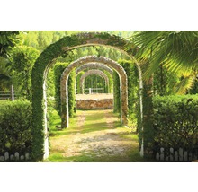 Fototapete Vlies 18021 Pergola Garden 7-tlg. 350 x 260 cm