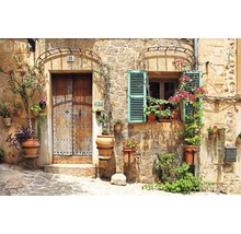 Fassade eines Steinhauses mit Tür, Fenster und Blumen