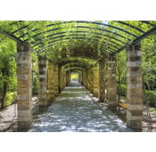 Longue tonnelle avec piliers en pierre et plantes vertes pour le jardin
