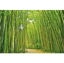 Fototapete Vlies 18046 Bamboo Forest 7-tlg. 350 x 260 cm