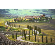 Image de paysage avec route sinueuse bordée de cyprès, menant à une ferme sur une colline