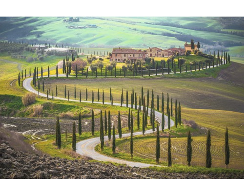 Papier peint panoramique intissé 18048 Fields in Tuscany 7 pces 350 x 260 cm