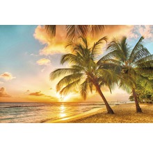 Fototapete mit Palmen am Strand bei Sonnenuntergang