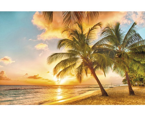 Papier peint panoramique intissé 18049 Barbados Palm Beach 2 palmiers 7 pces 350 x 260 cm Papier peint panoramique intissé 18049 Barbados Palm Beach 2 palmiers 7 pces 350 x 260 cm