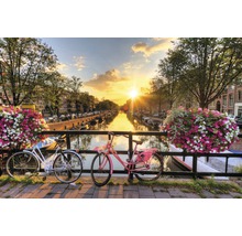 Canal à Amsterdam avec des vélos, des fleurs et un coucher de soleil