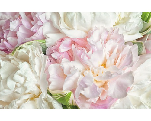 Fototapete Vlies 18052 Blooming Peonies 7-tlg. 350 x 260 cm-0