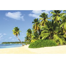 Tropischer Strand mit Palmen und Meerblick