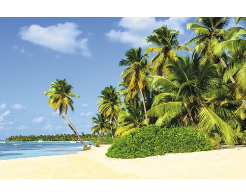 Papier peint panoramique intissé 18053 Exotic Palm Beach 7 pces 350 x 260 cm Plage tropicale avec palmiers et vue sur la mer