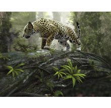 Papier peint panoramique intissé 18063 Jaguar on the Prowl 7 pces 350 x 260 cm