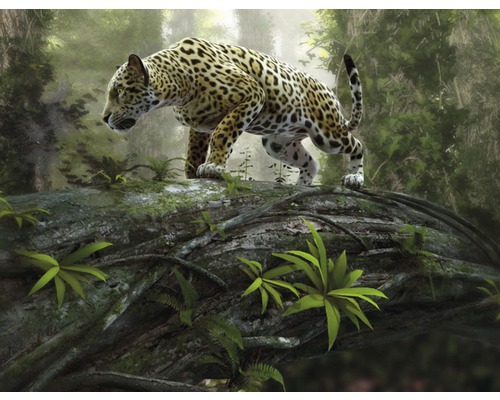 Papier peint panoramique intissé 18063 Jaguar on the Prowl 7 pces 350 x 260 cm Un jaguar en équilibre sur un tronc d''arbre dans la jungle.