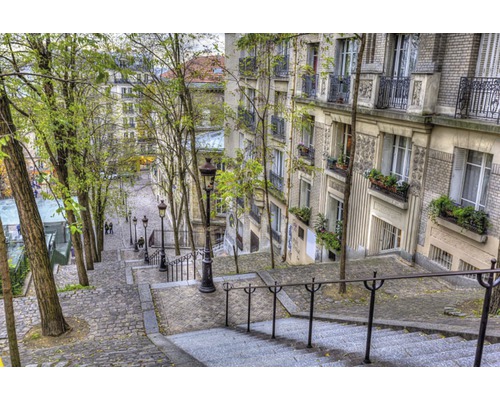Papier peint panoramique intissé 18064 Montmartre in Paris 7 pces 350 x 260 cm Photo d''extérieur d''un long escalier avec des rampes entre des maisons et des arbres