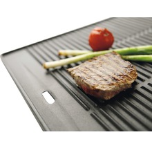 Plaque de gril avec steak, tomate et oignons nouveaux
