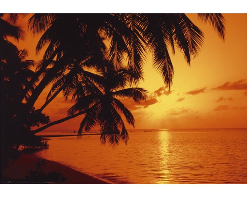 Papier peint panoramique intissé 18276 Tropic Sunset 7 pces 350 x 260 cm